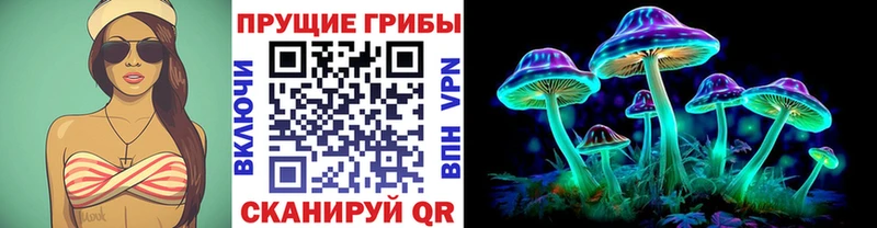 Галлюциногенные грибы Cubensis  купить   Емва 